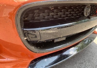 Photo of a 2019 Jaguar F Type being detailed by August Precision