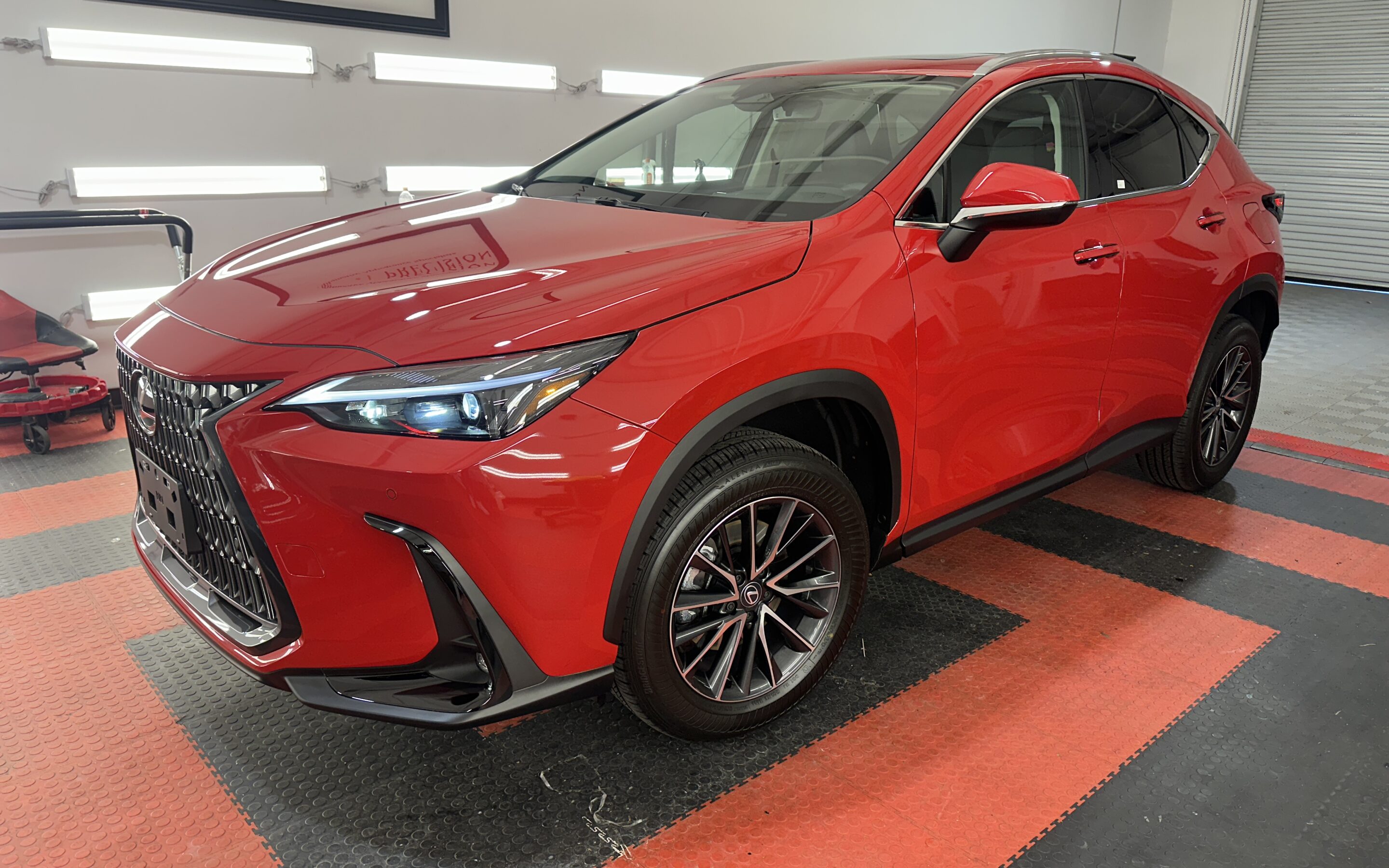Paint Correction for a 2024 Lexus NX250 in Raleigh, NC