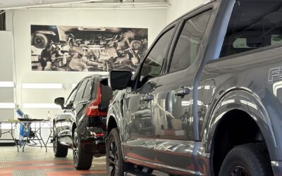 Premium Auto Detailing & Paint Protection Excellence