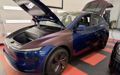 Tesla Model Y Stealth PPF Transformation